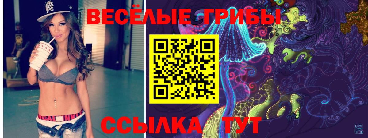 наркошоп  Вход с VPN  Йошкар-Ола  Галлюциногенные грибы Psilocybine cubensis 
